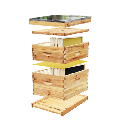 10 cadres Langstroth 2 pose la cire complète de ruche enduite pour l'apiculture